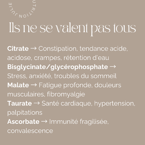 Photo de l‘article 〈 Art de vivre 〉 L’écosystème santé complet